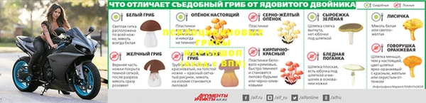 бошки Балахна